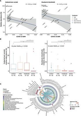 Lower gut abundance of Eubacterium rectale is linked to COVID-19 mortality